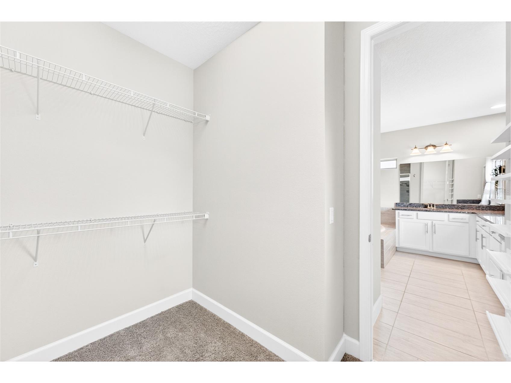 9210 Royal Estates Boulevard Orlando FL 32836 O6414185 image62