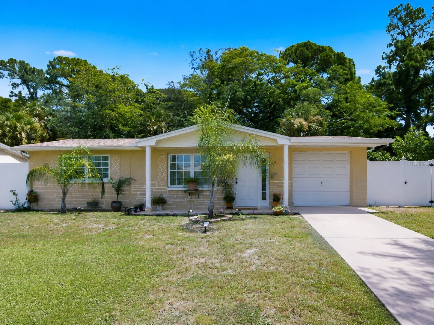 9210 Unicorn Avenue Port Richey FL 34668 TB8528966 image1