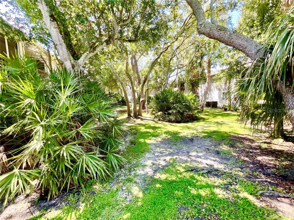 9211 Jakes Path Largo FL 33771 TB8425220 image15