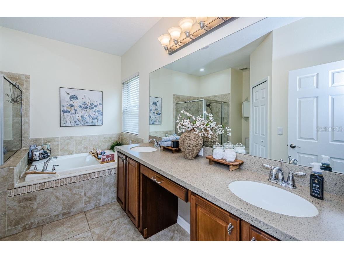 9211 Seeger Lane Land O Lakes FL 34638 TB8357612 image20