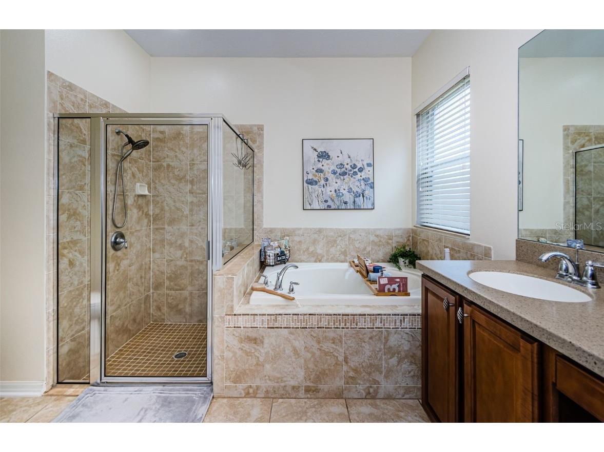 9211 Seeger Lane Land O Lakes FL 34638 TB8357612 image21