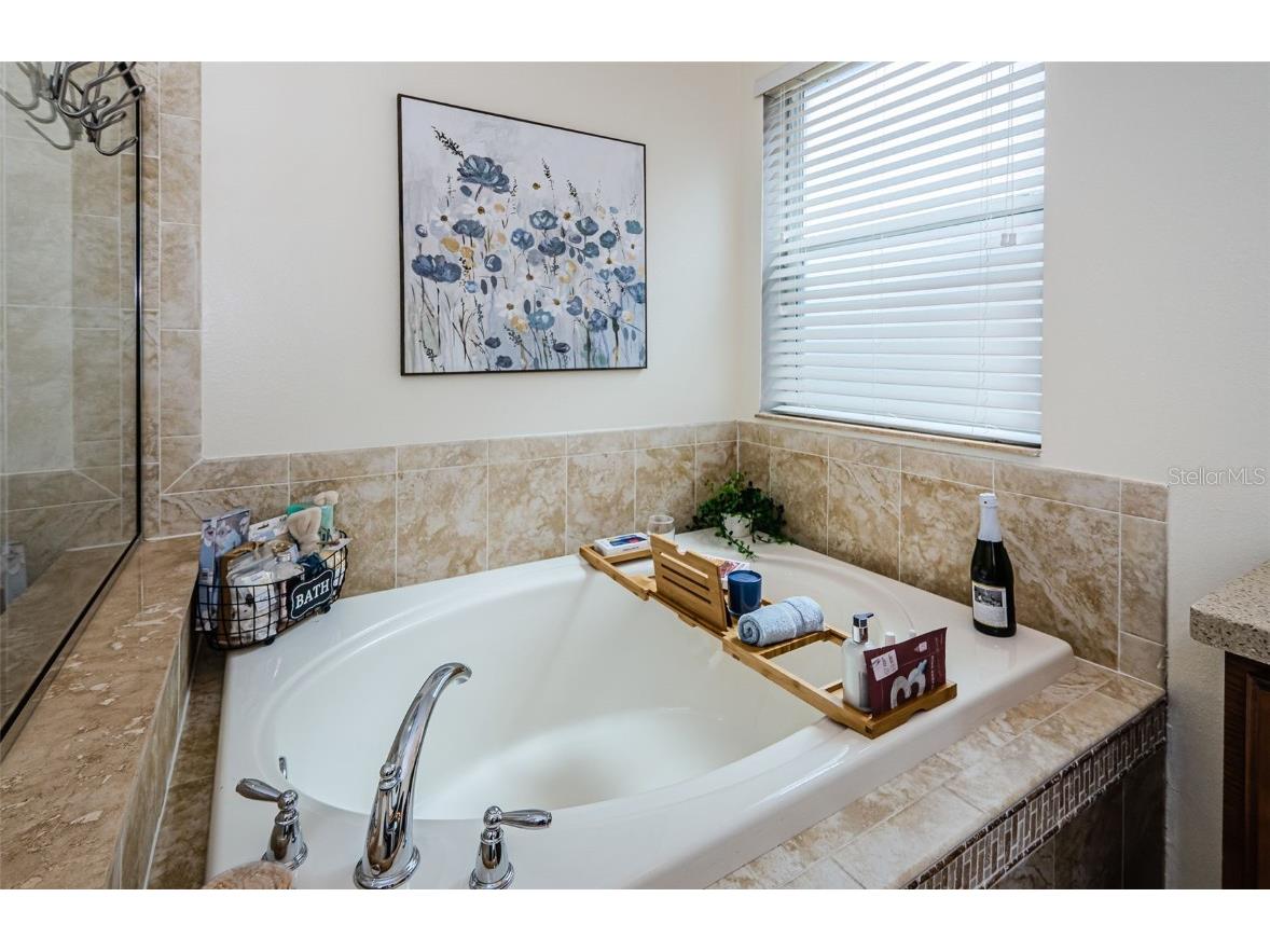 9211 Seeger Lane Land O Lakes FL 34638 TB8357612 image22