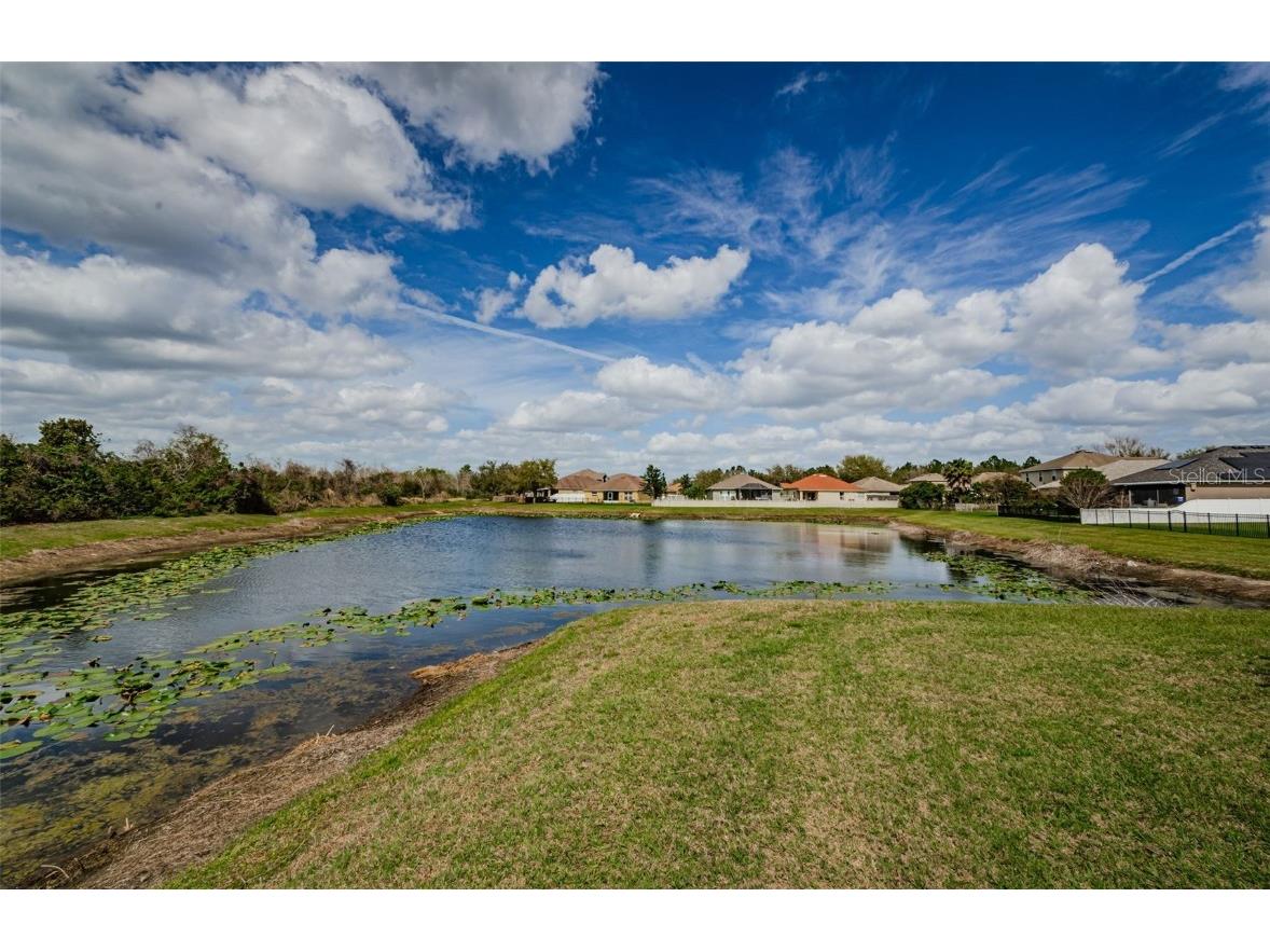 9211 Seeger Lane Land O Lakes FL 34638 TB8357612 image40