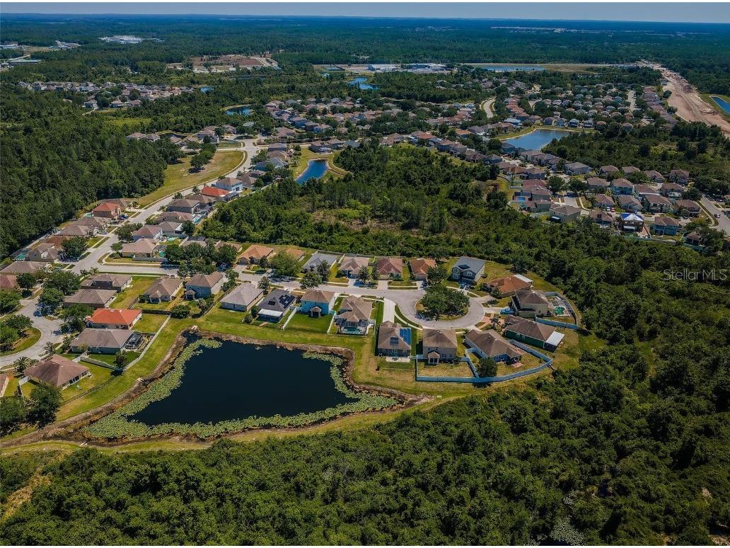 9211 Seeger Lane Land O Lakes FL 34638 TB8357612 image44