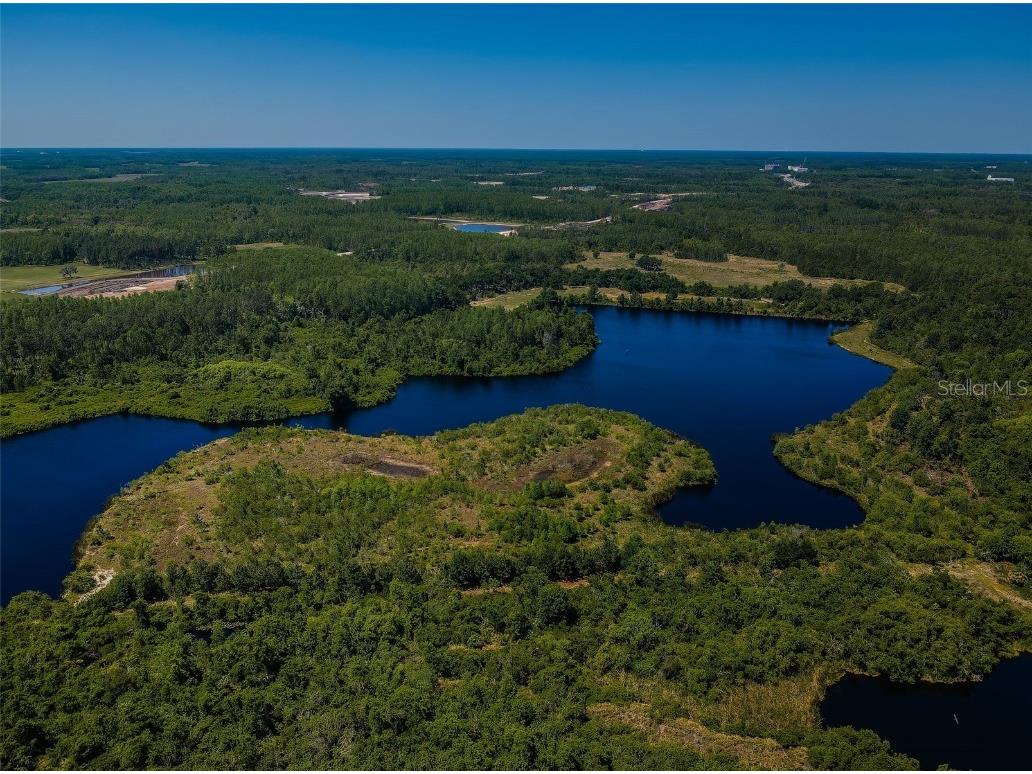 9211 Seeger Lane Land O Lakes FL 34638 TB8357612 image45