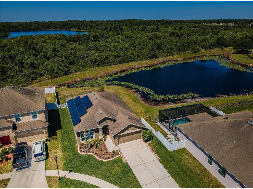 9211 Seeger Lane Land O Lakes FL 34638 TB8357612 image46