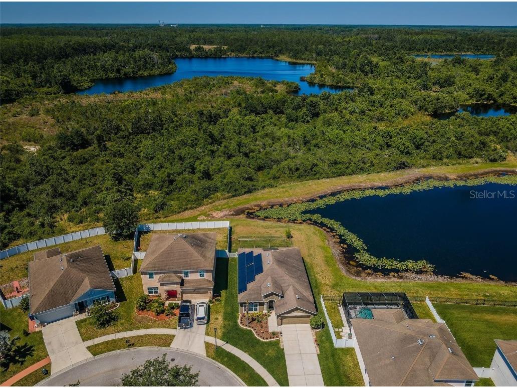 9211 Seeger Lane Land O Lakes FL 34638 TB8357612 image47