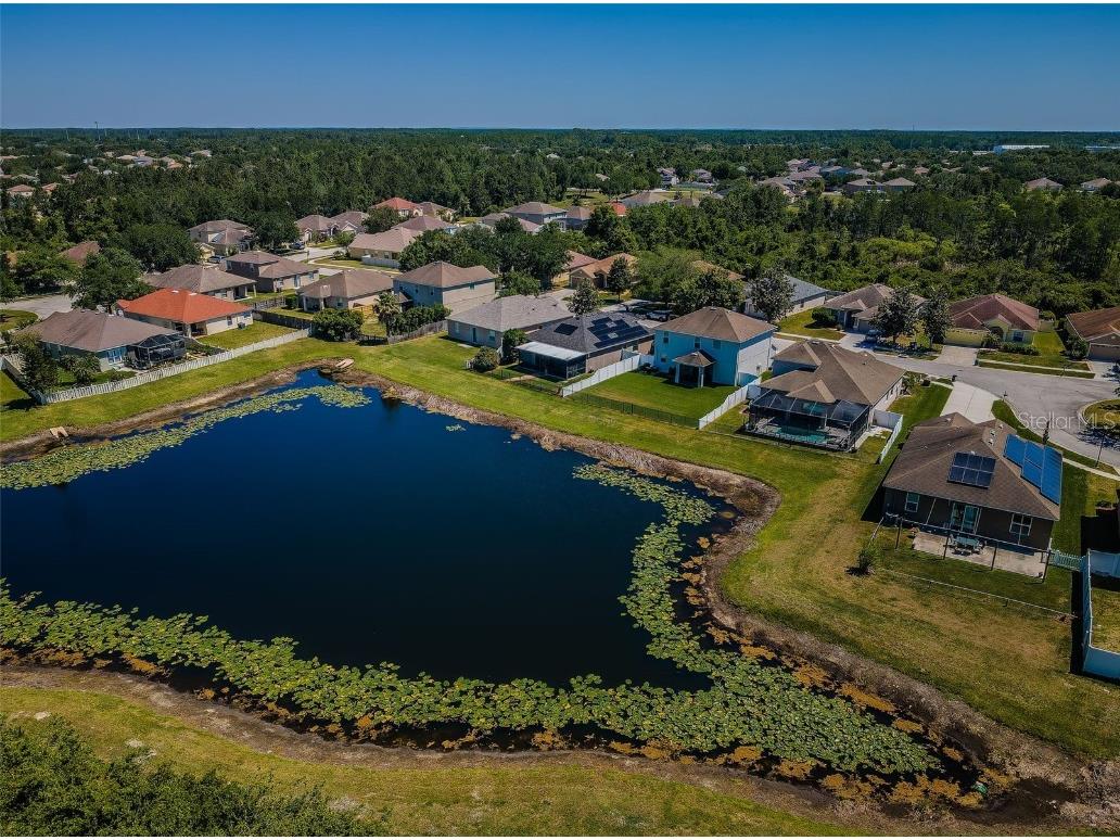 9211 Seeger Lane Land O Lakes FL 34638 TB8357612 image48