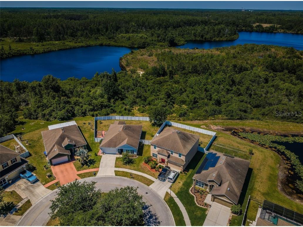 9211 Seeger Lane Land O Lakes FL 34638 TB8357612 image51