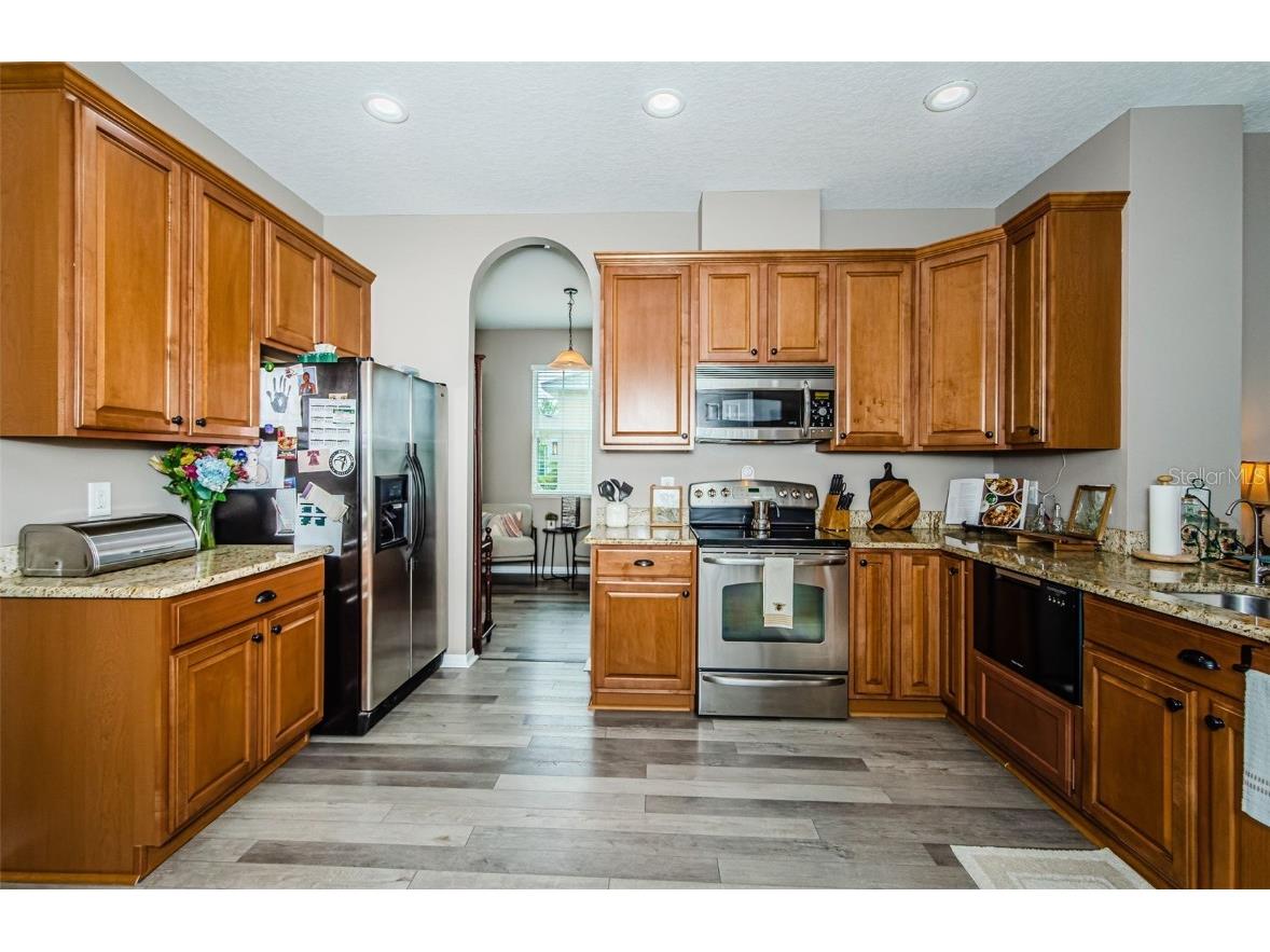 9211 Seeger Lane Land O Lakes FL 34638 TB8357612 image7