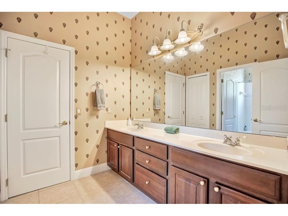 9211 Shadow Pinar Court Orlando FL 32825 O6419950 image32