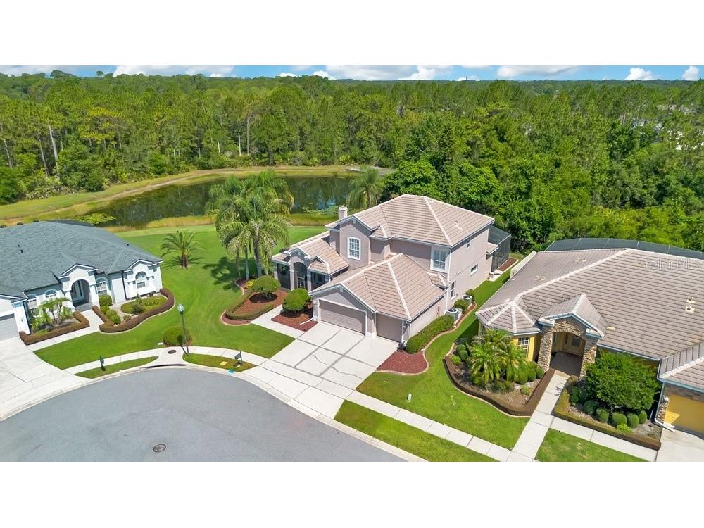 9211 Shadow Pinar Court Orlando FL 32825 O6419950 image4