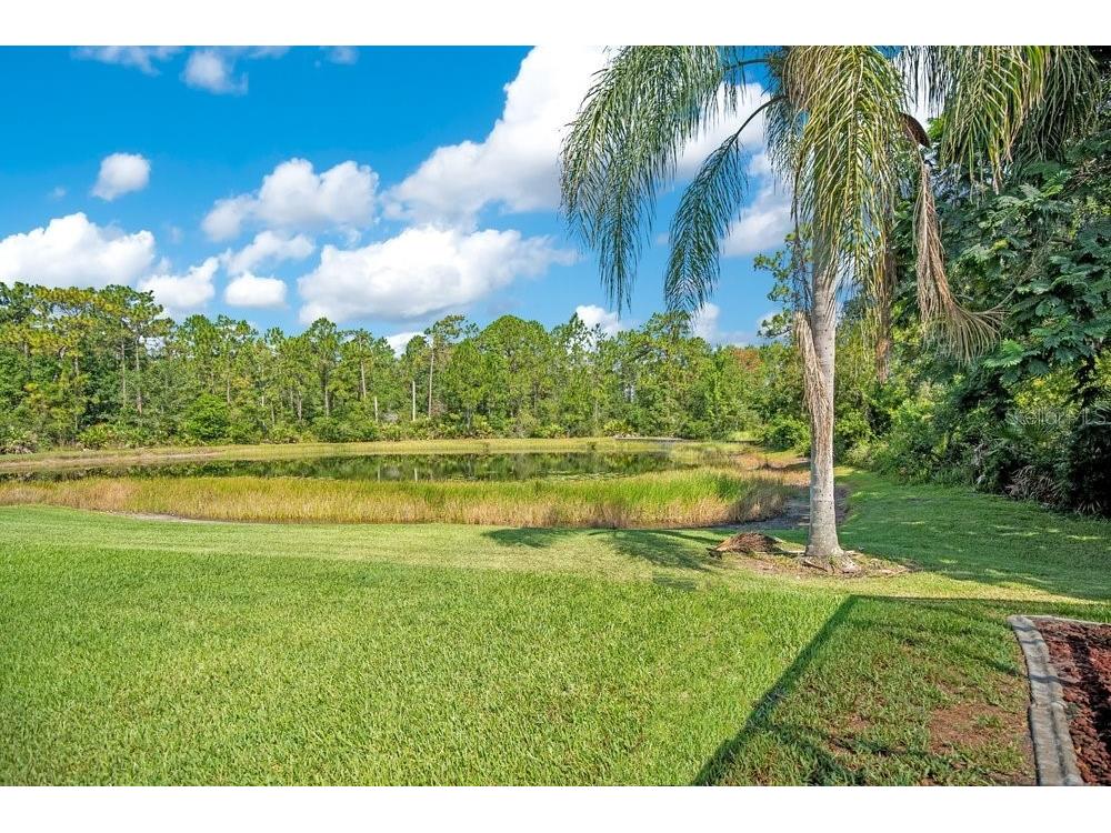 9211 Shadow Pinar Court Orlando FL 32825 O6419950 image48