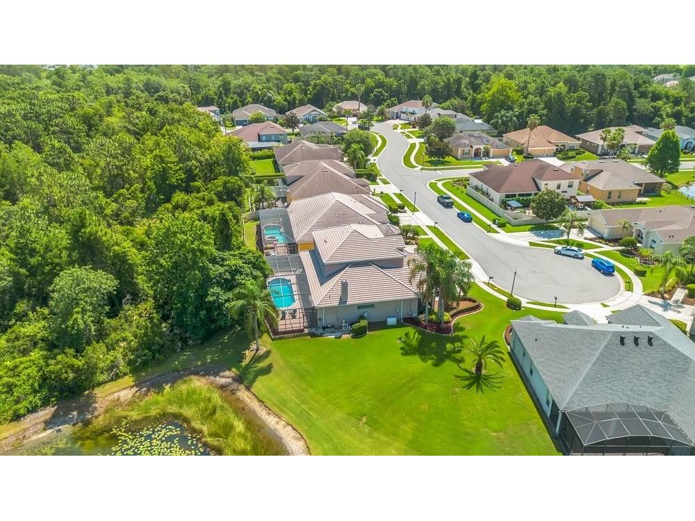 9211 Shadow Pinar Court Orlando FL 32825 O6419950 image49