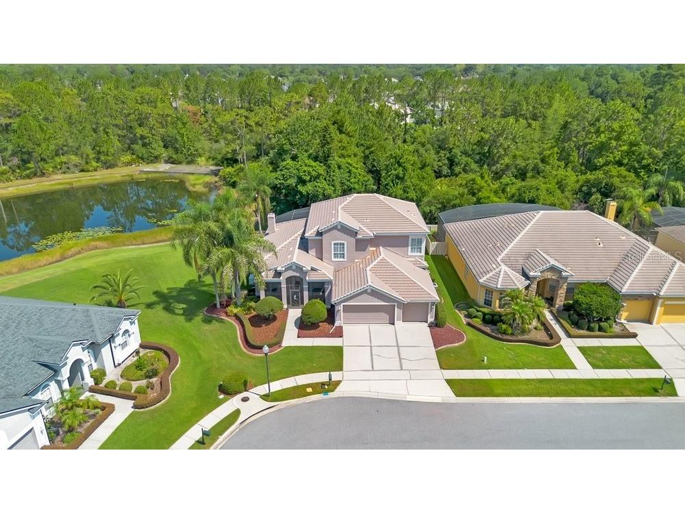 9211 Shadow Pinar Court Orlando FL 32825 O6419950 image6