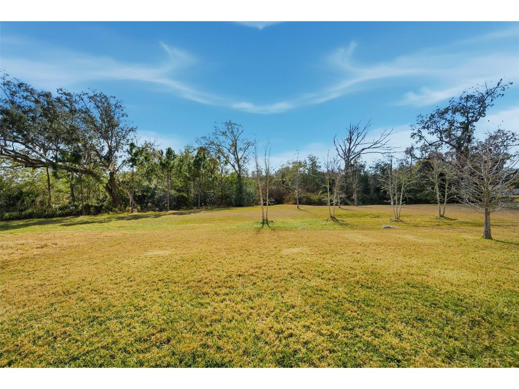 9211 Waverly Walk Drive Orlando FL 32817 O6381265 image39