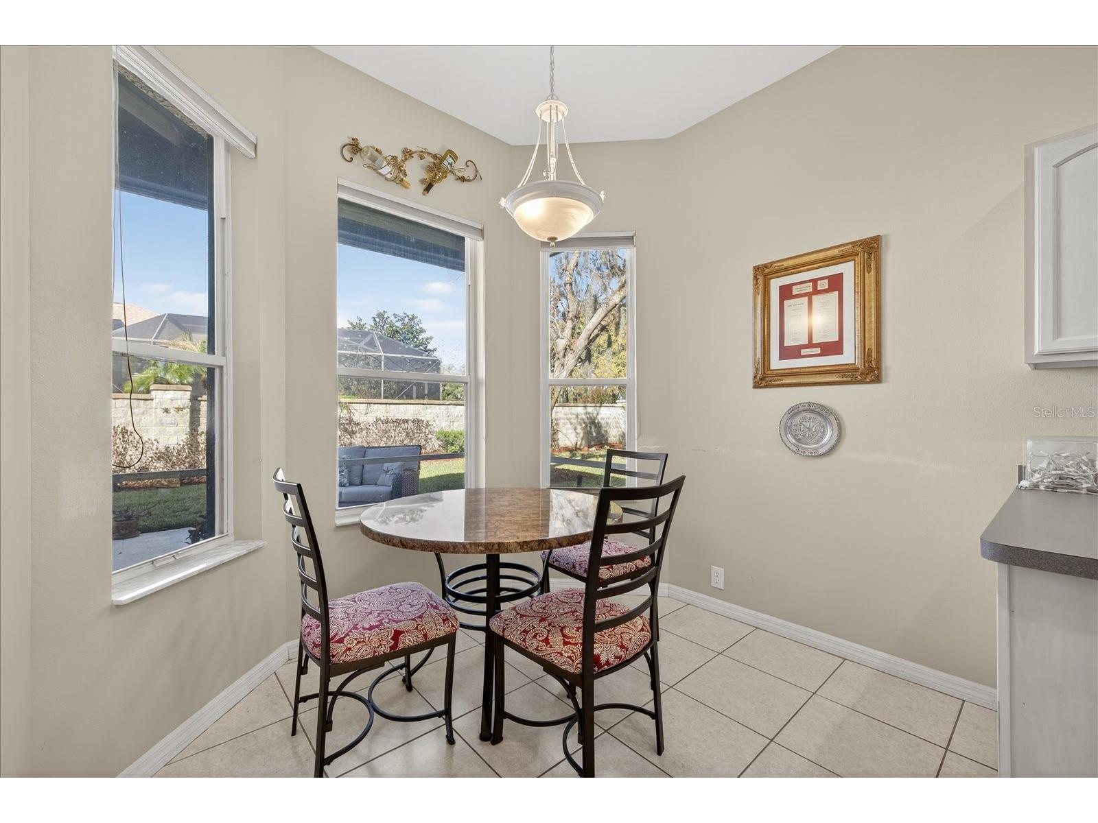 9212 Bonnington Drive Trinity FL 34655 TB8483284 image19