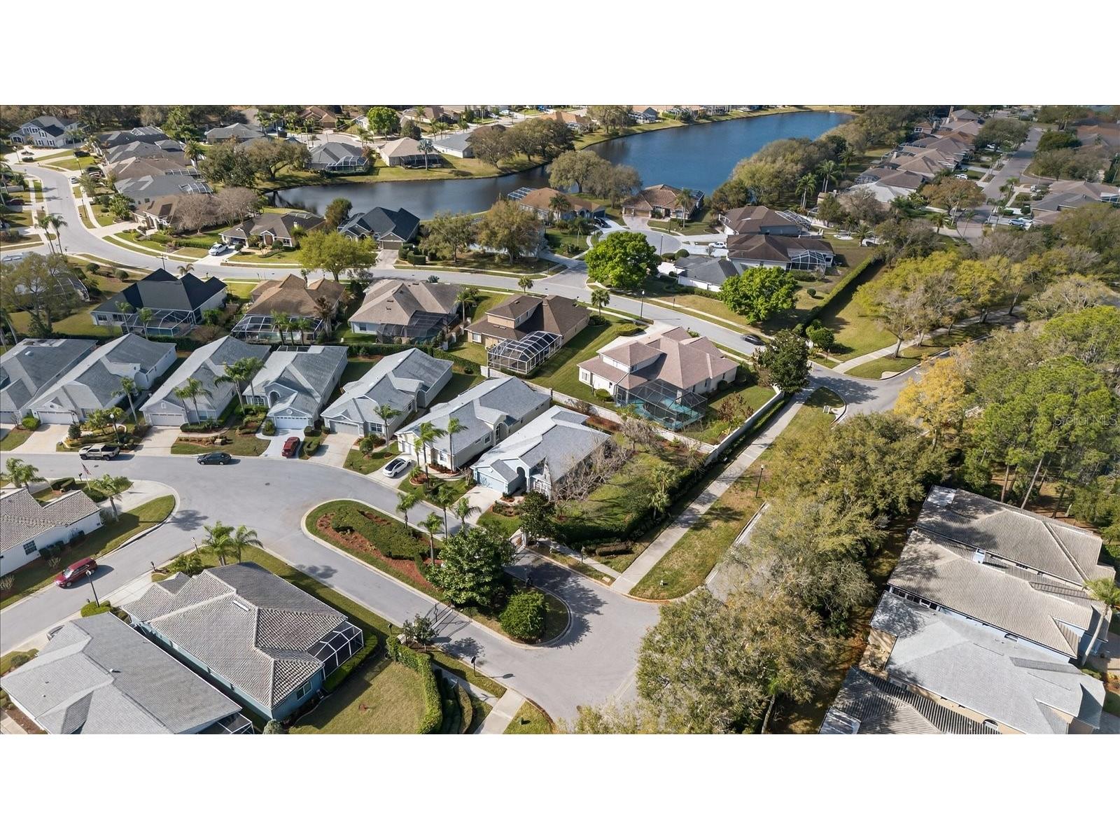 9212 Bonnington Drive Trinity FL 34655 TB8483284 image39