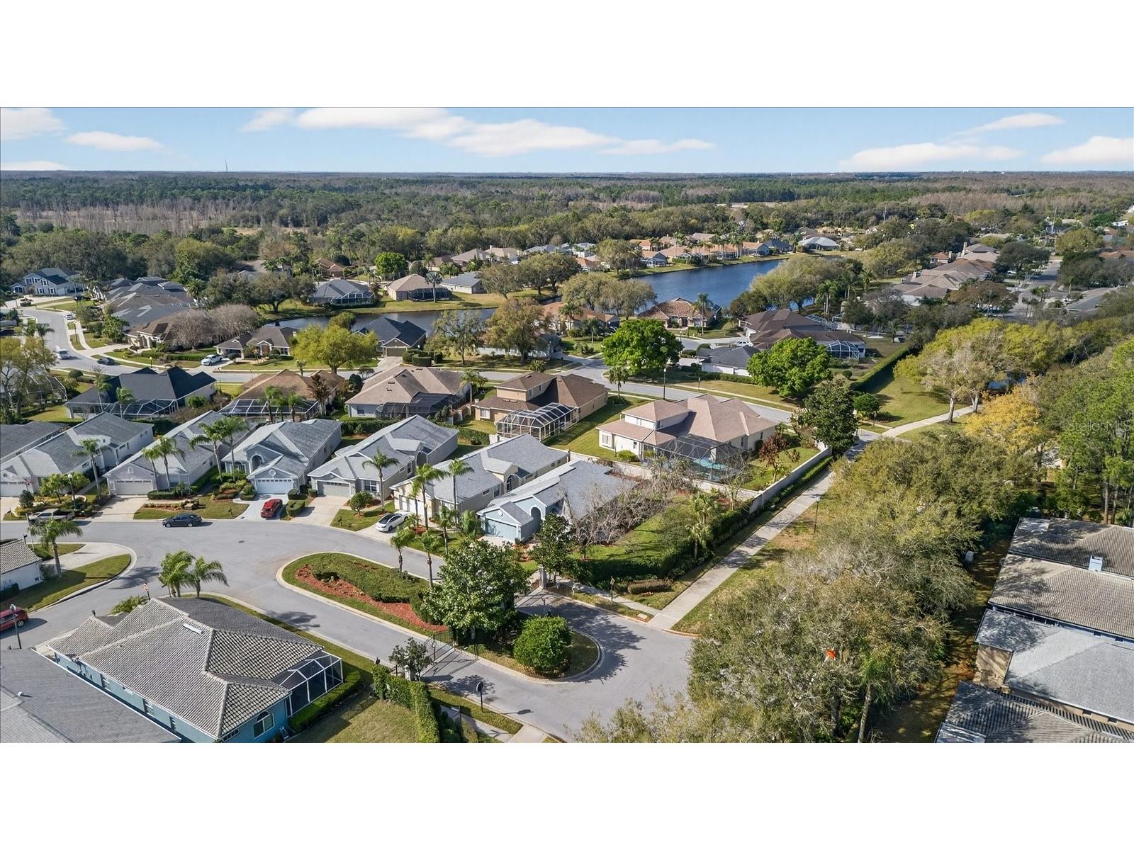 9212 Bonnington Drive Trinity FL 34655 TB8483284 image40