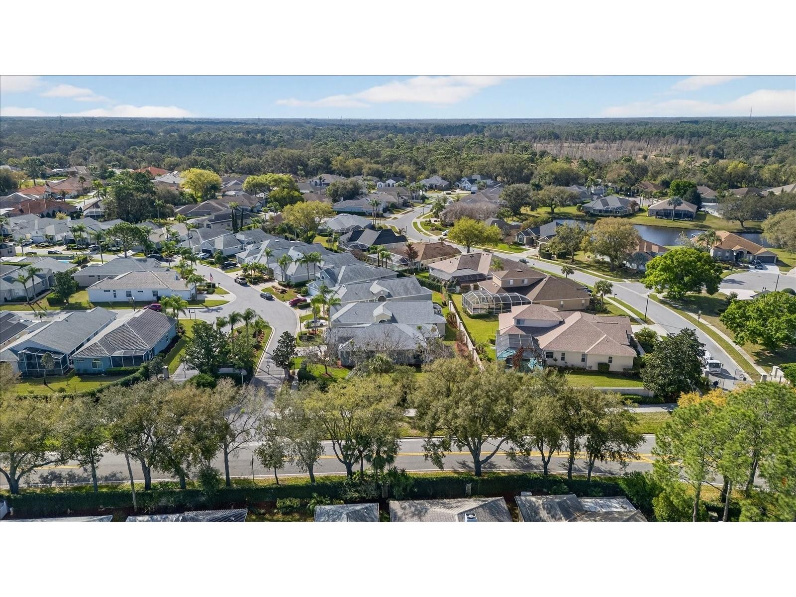 9212 Bonnington Drive Trinity FL 34655 TB8483284 image41