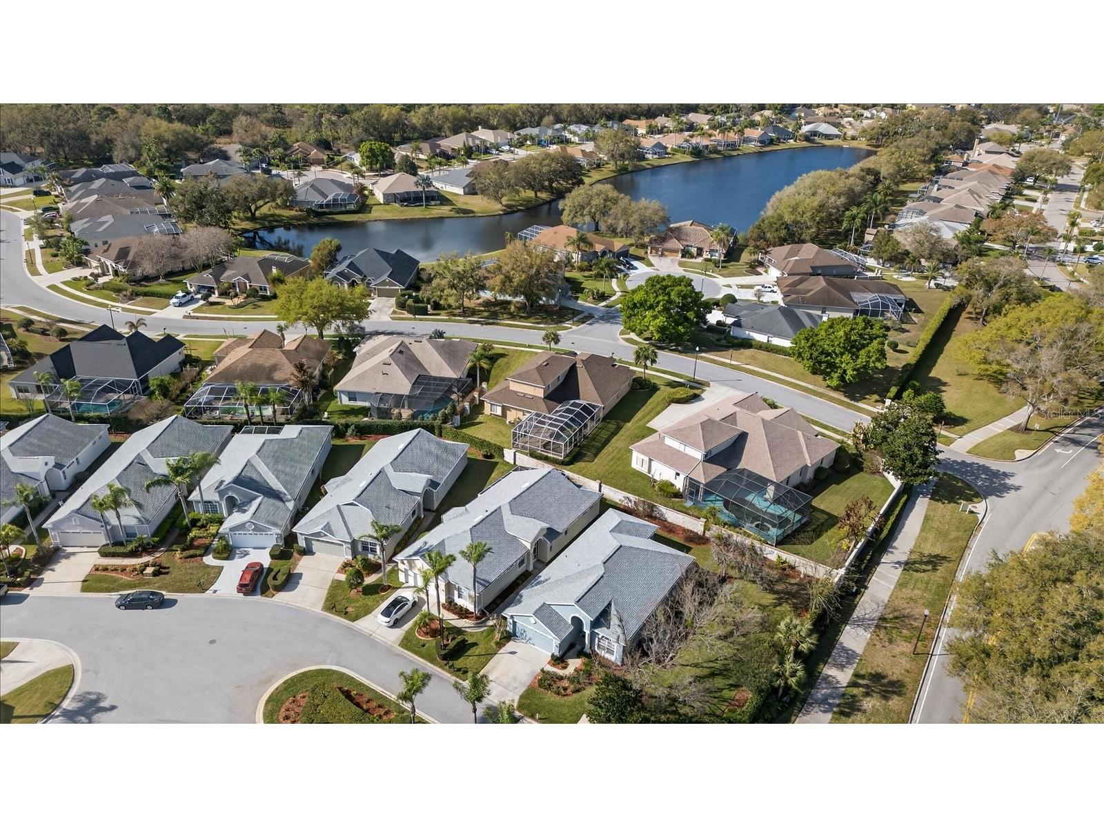 9212 Bonnington Drive Trinity FL 34655 TB8483284 image42