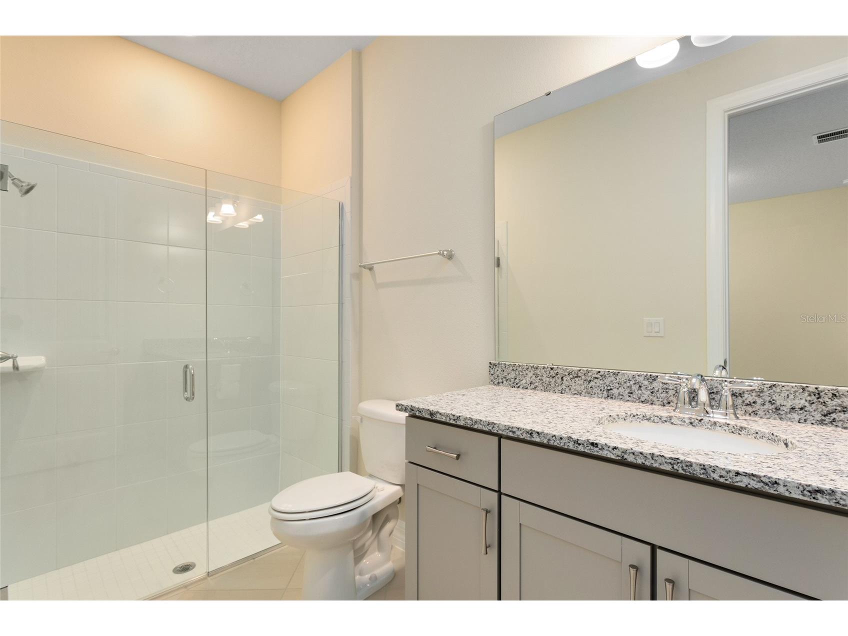 9212 Hanging Vine Court Orlando FL 32836 O6383557 image26