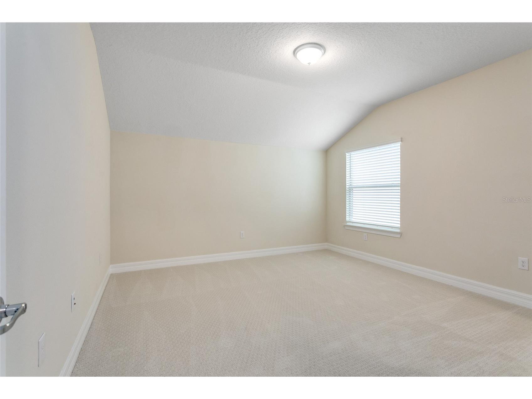 9212 Hanging Vine Court Orlando FL 32836 O6390296 image18