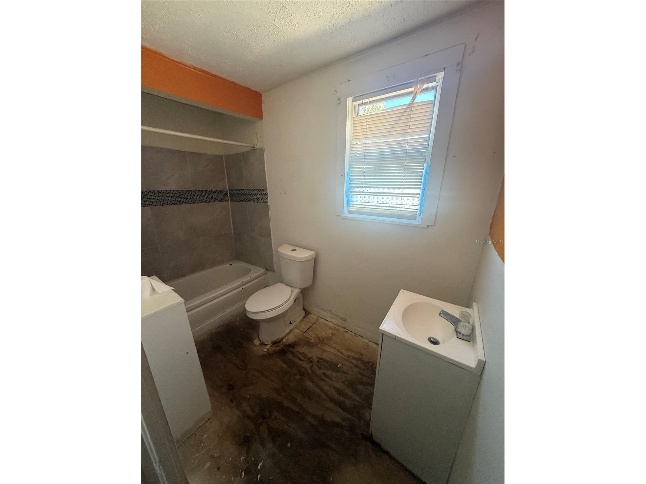 9212 N Brooks Street Tampa FL 33612 TB8495023 image5