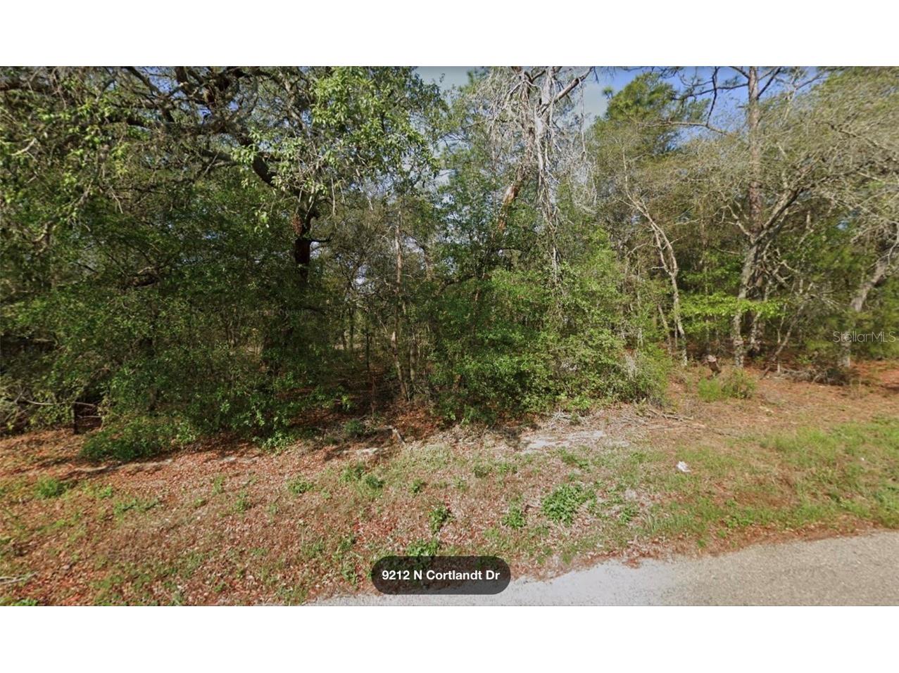 9212 N Cortlandt Drive Citrus Springs FL 34434 TB8357351 image1