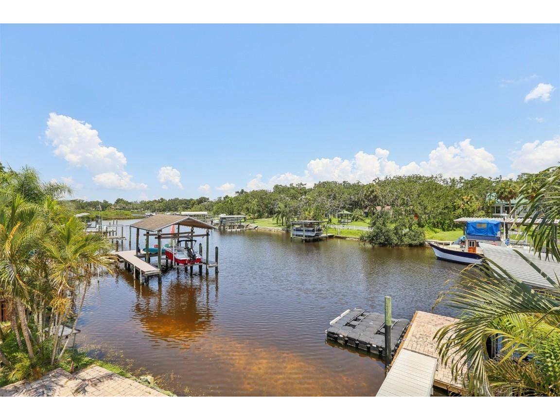 9212 River Cove Drive Riverview FL 33578 TB8412354 image5