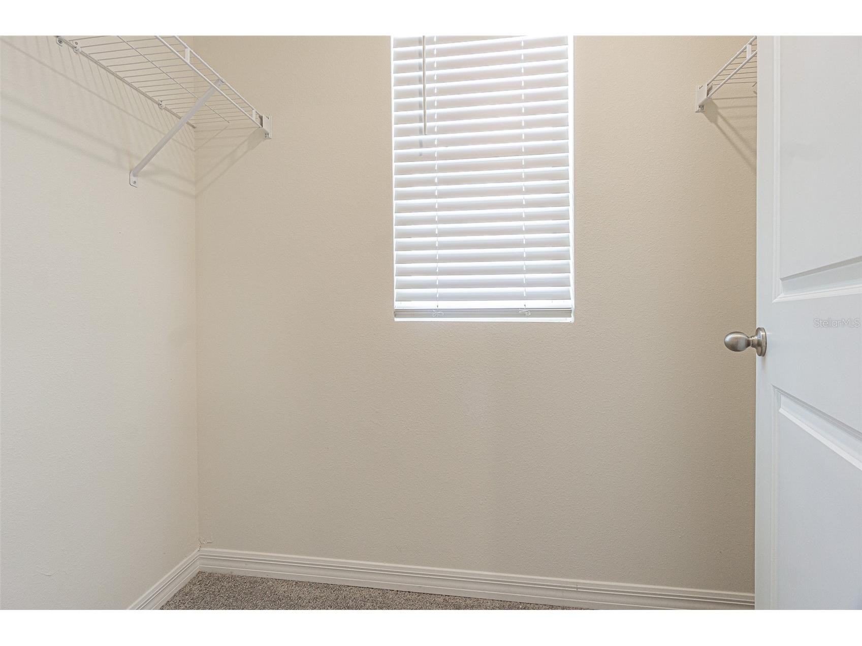 9213 Mission Bay Pl Temple Terrace FL 33637 TB8521534 image12