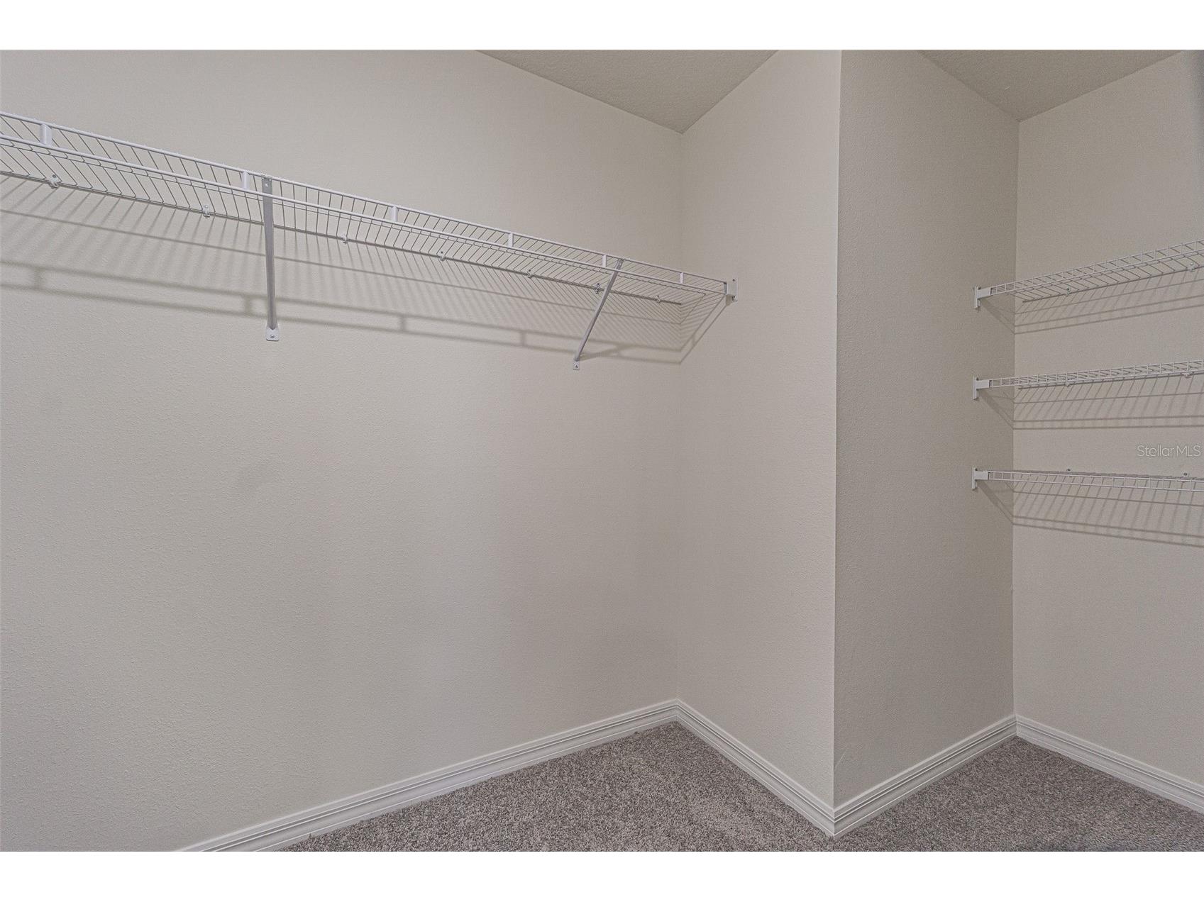 9213 Mission Bay Pl Temple Terrace FL 33637 TB8521534 image15
