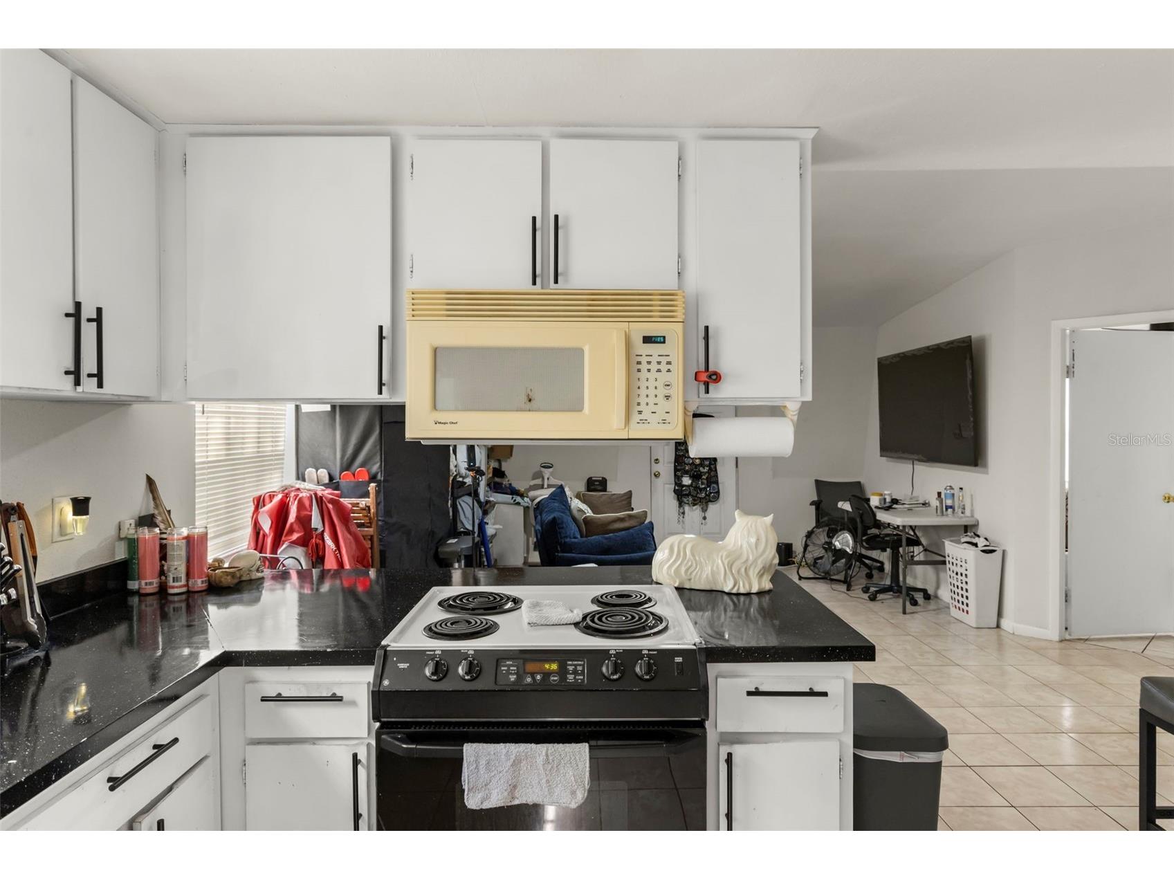9213 N 13th Street Tampa FL 33612 O6424787 image17