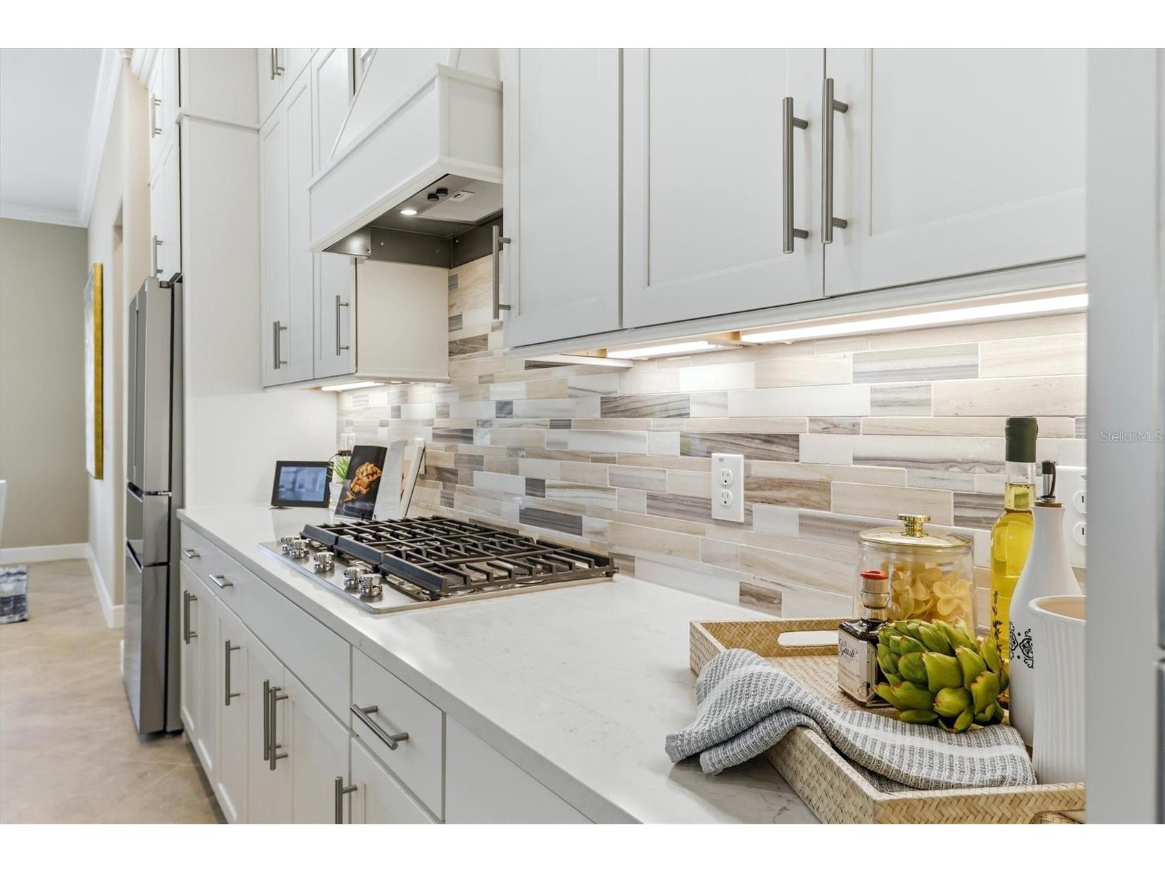 9213 Sand Dune Cove Parrish FL 34219 A4685231 image22