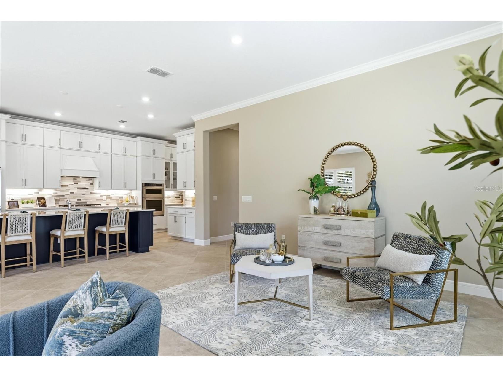 9213 Sand Dune Cove Parrish FL 34219 A4685231 image8