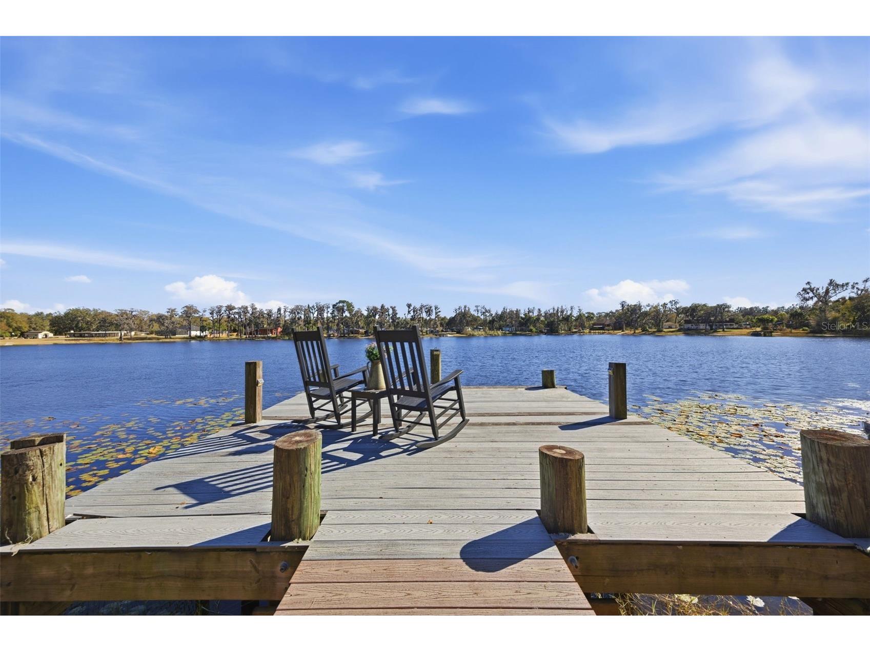 9214 Rhea Drive Odessa FL 33556 - LAKE JUANITA TB8467021 image1