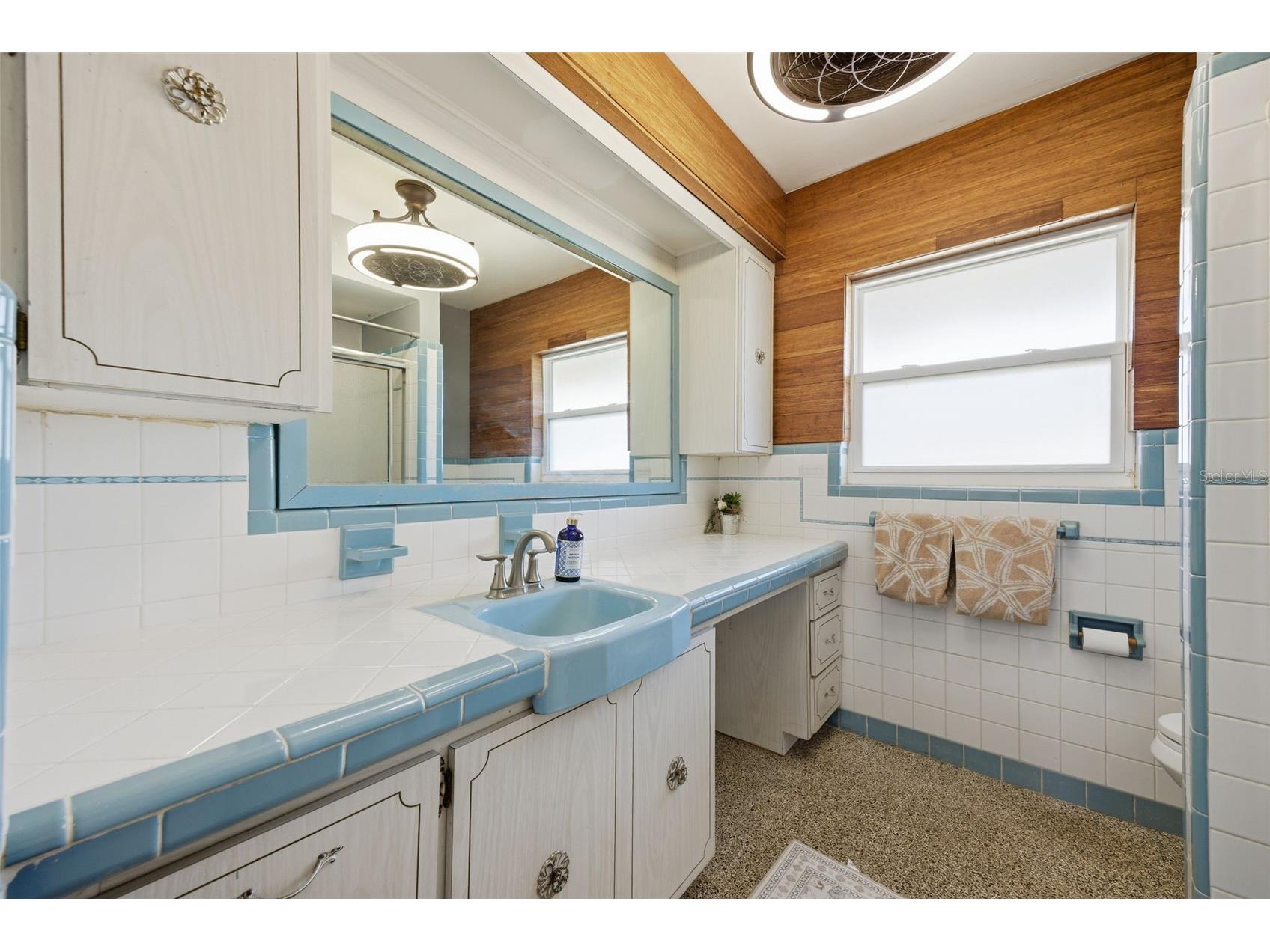 9214 Rhea Drive Odessa FL 33556 - LAKE JUANITA TB8467021 image21