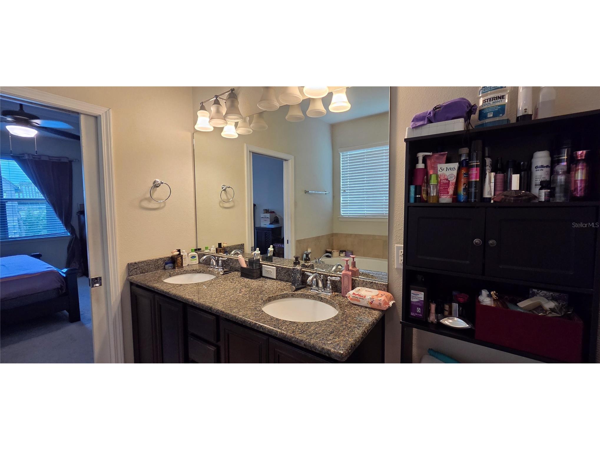 9215 Mountain Magnolia Drive Riverview FL 33578 TB8517588 image18