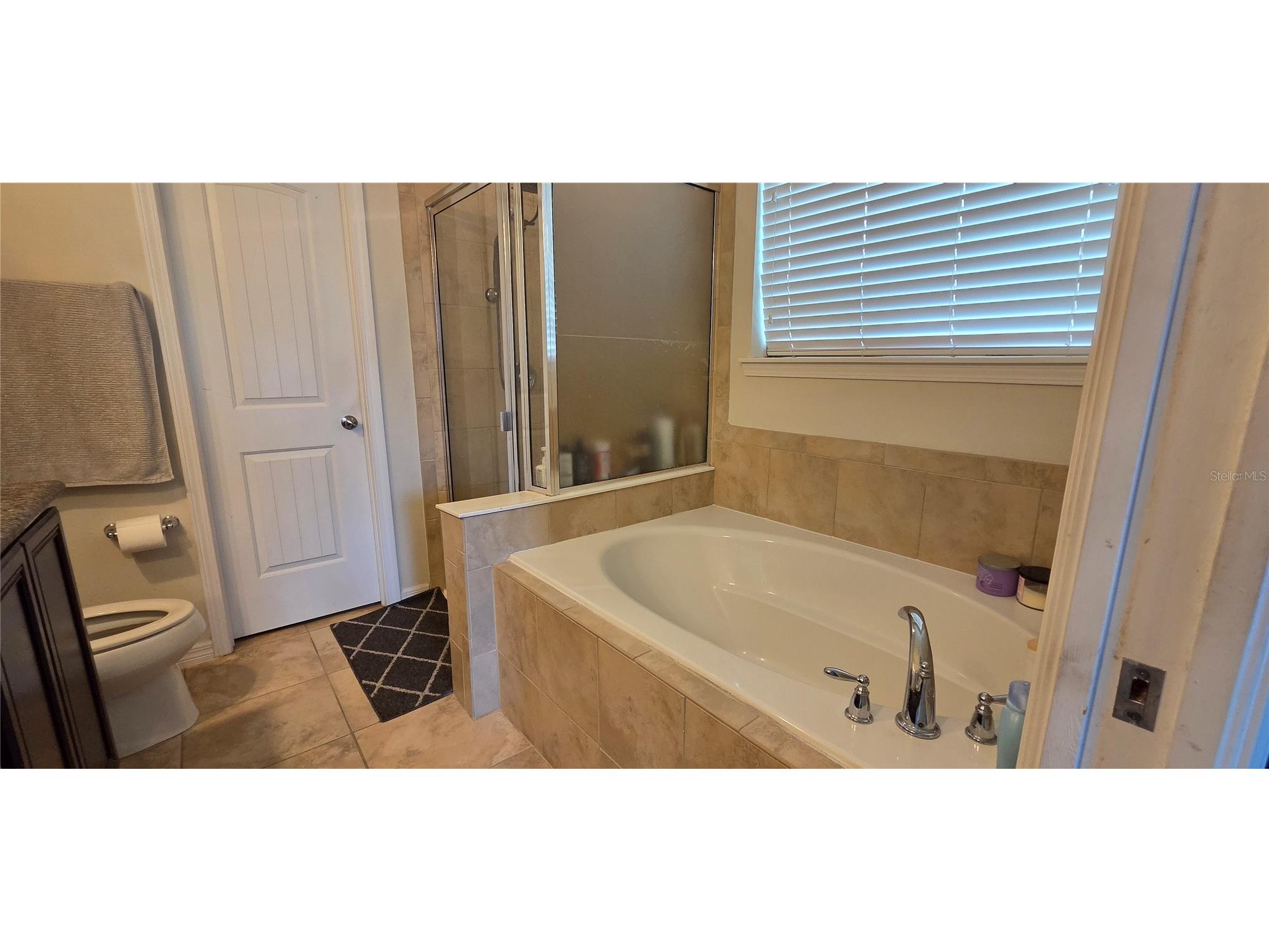 9215 Mountain Magnolia Drive Riverview FL 33578 TB8517588 image20