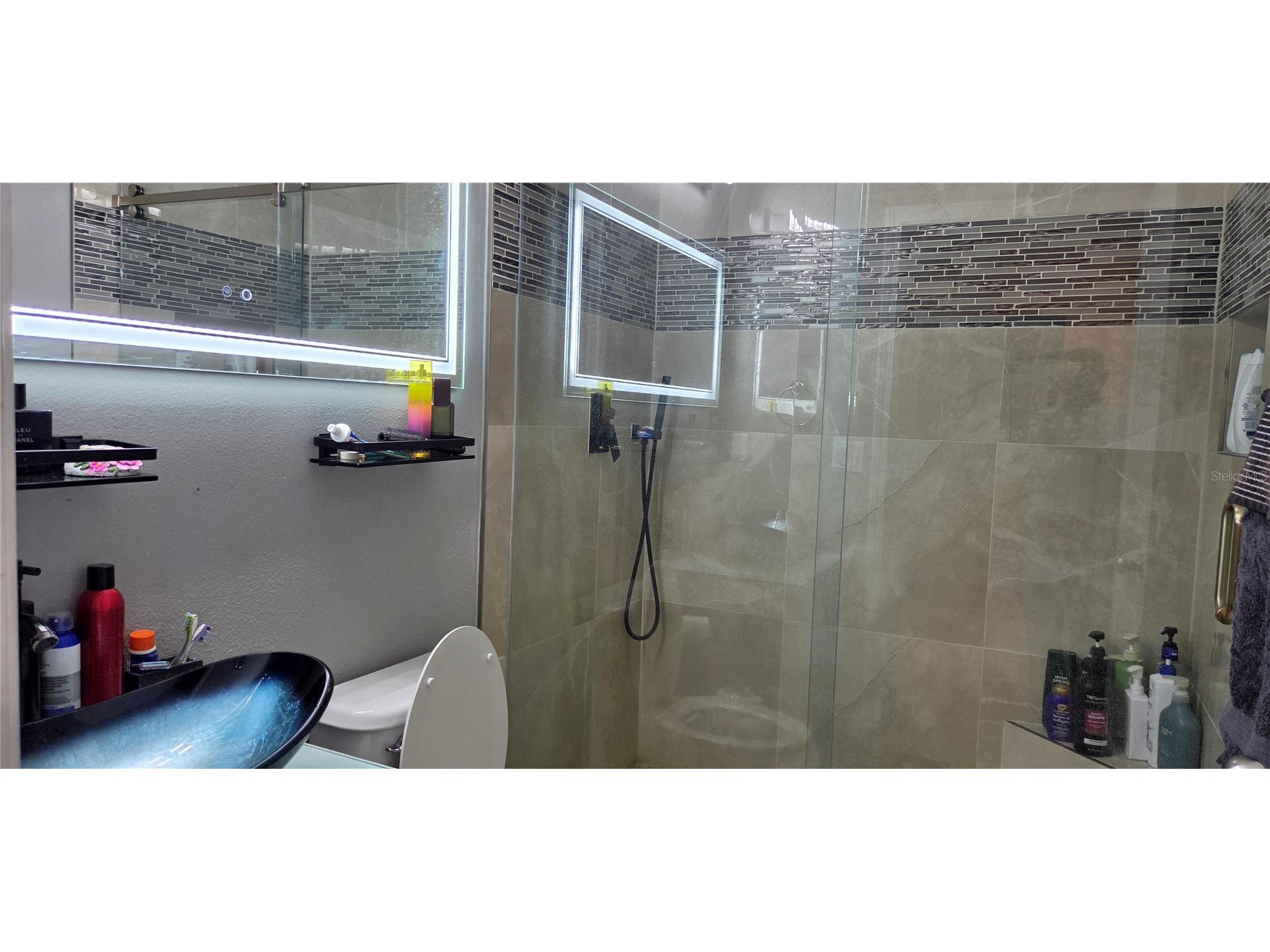 9215 Mountain Magnolia Drive Riverview FL 33578 TB8517588 image25