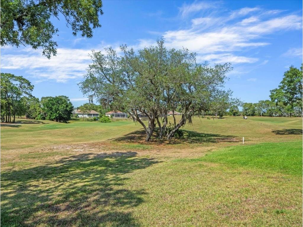 9216 Tarleton Circle Weeki Wachee FL 34613 W7875229 image53