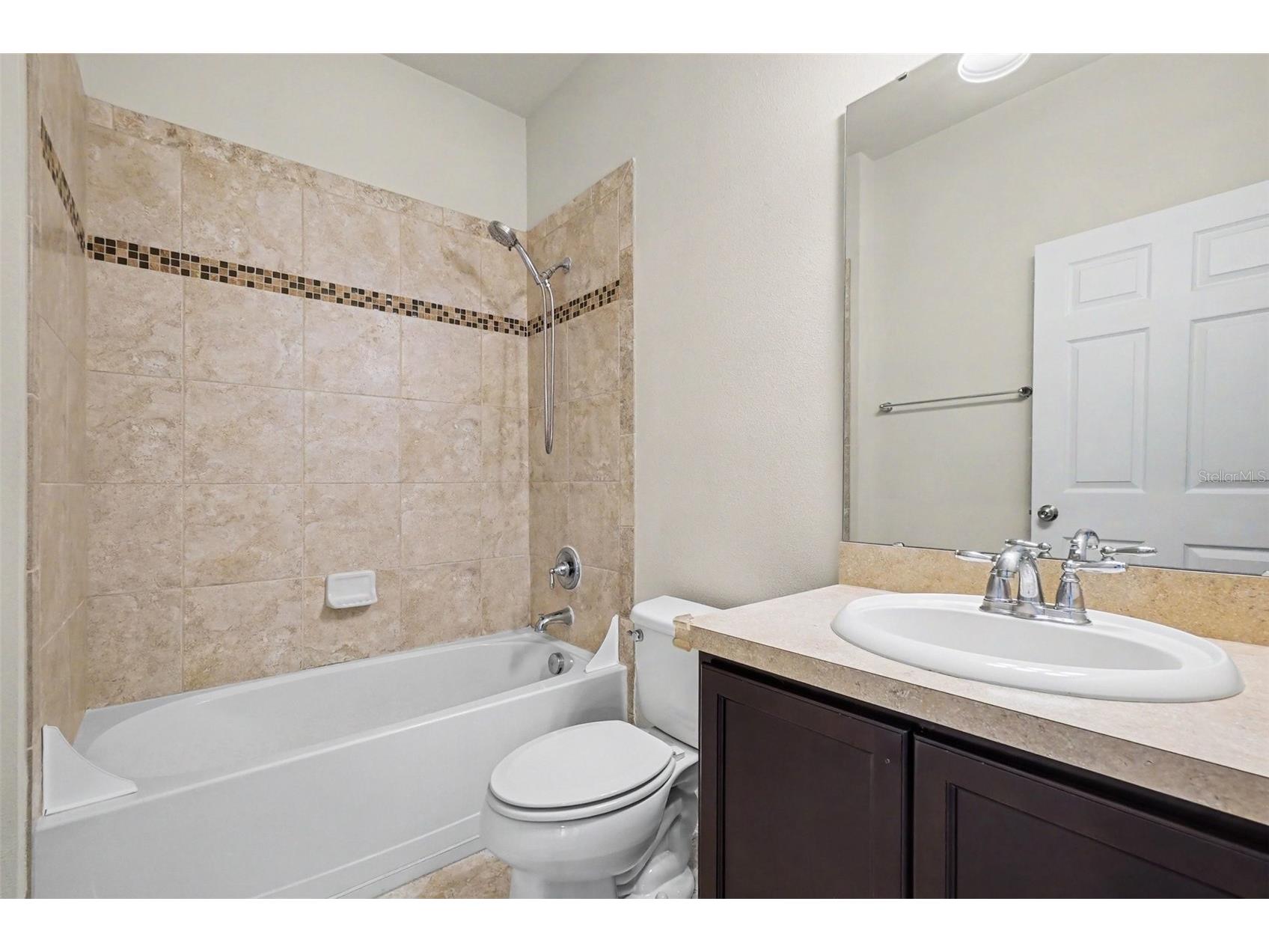 9217 European Olive Way Riverview FL 33578 O6424816 image10