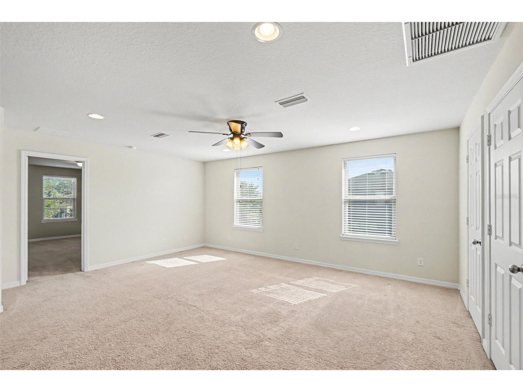 9217 European Olive Way Riverview FL 33578 O6424816 image12