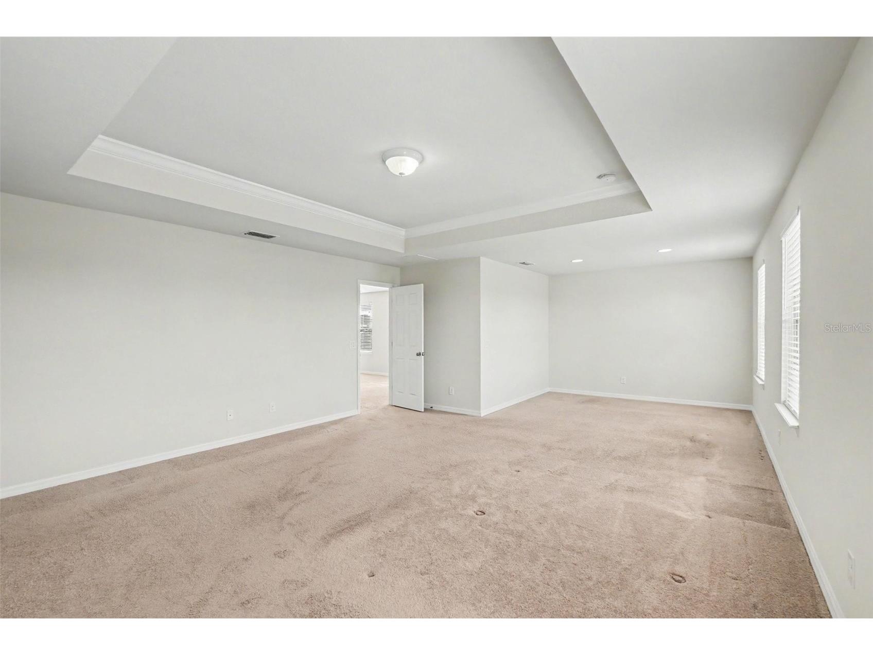 9217 European Olive Way Riverview FL 33578 O6424816 image14