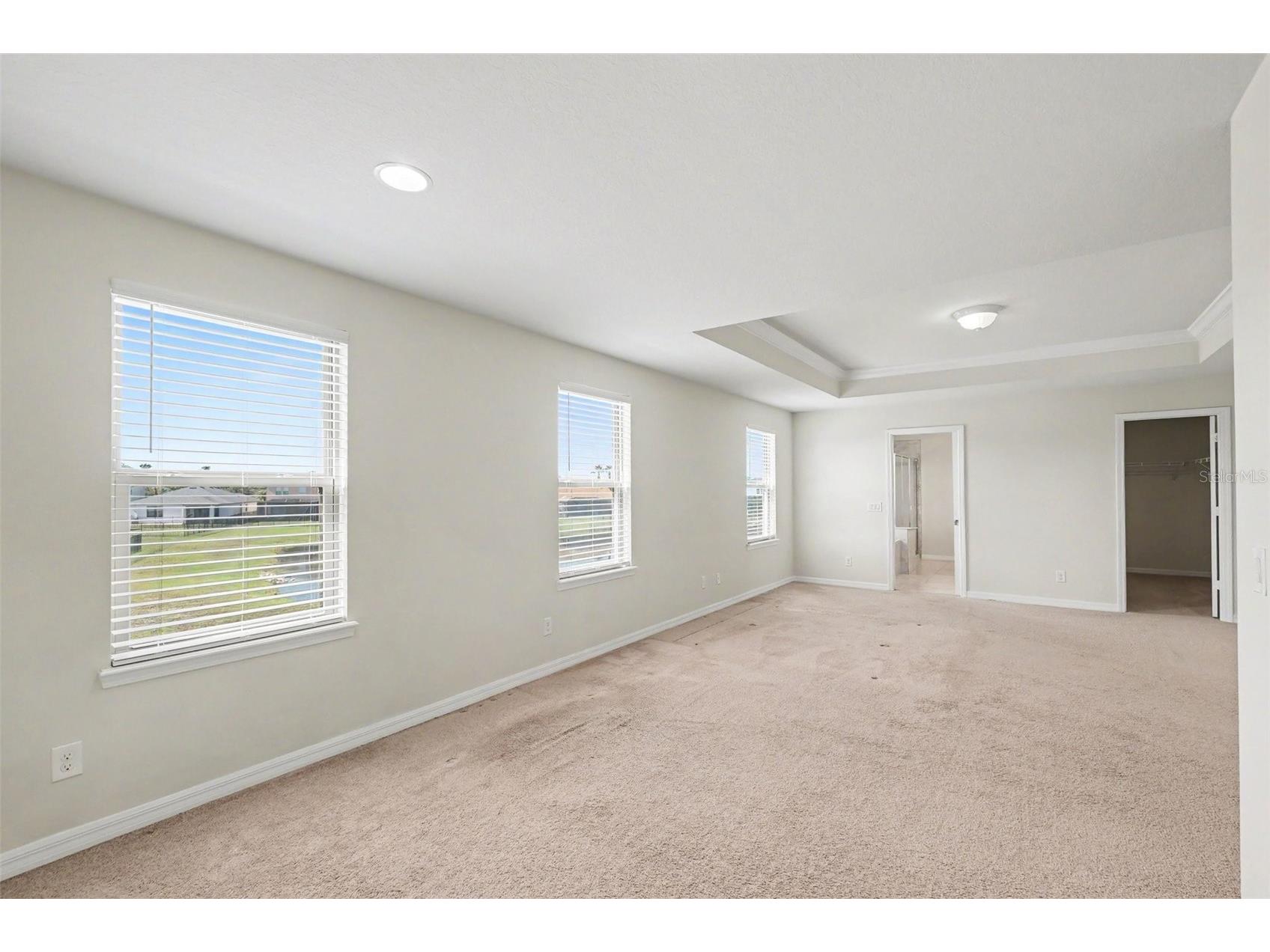 9217 European Olive Way Riverview FL 33578 O6424816 image15