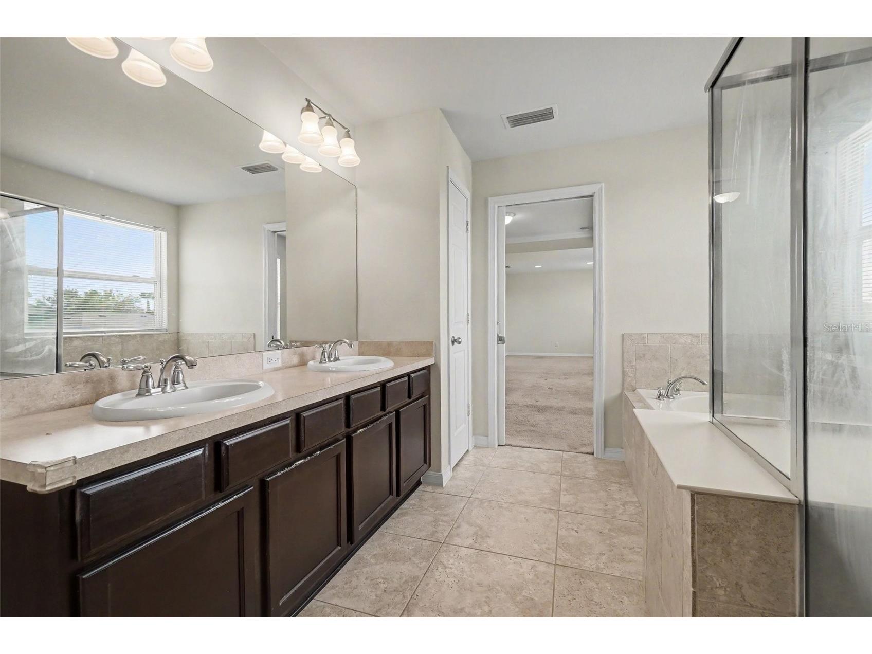 9217 European Olive Way Riverview FL 33578 O6424816 image16