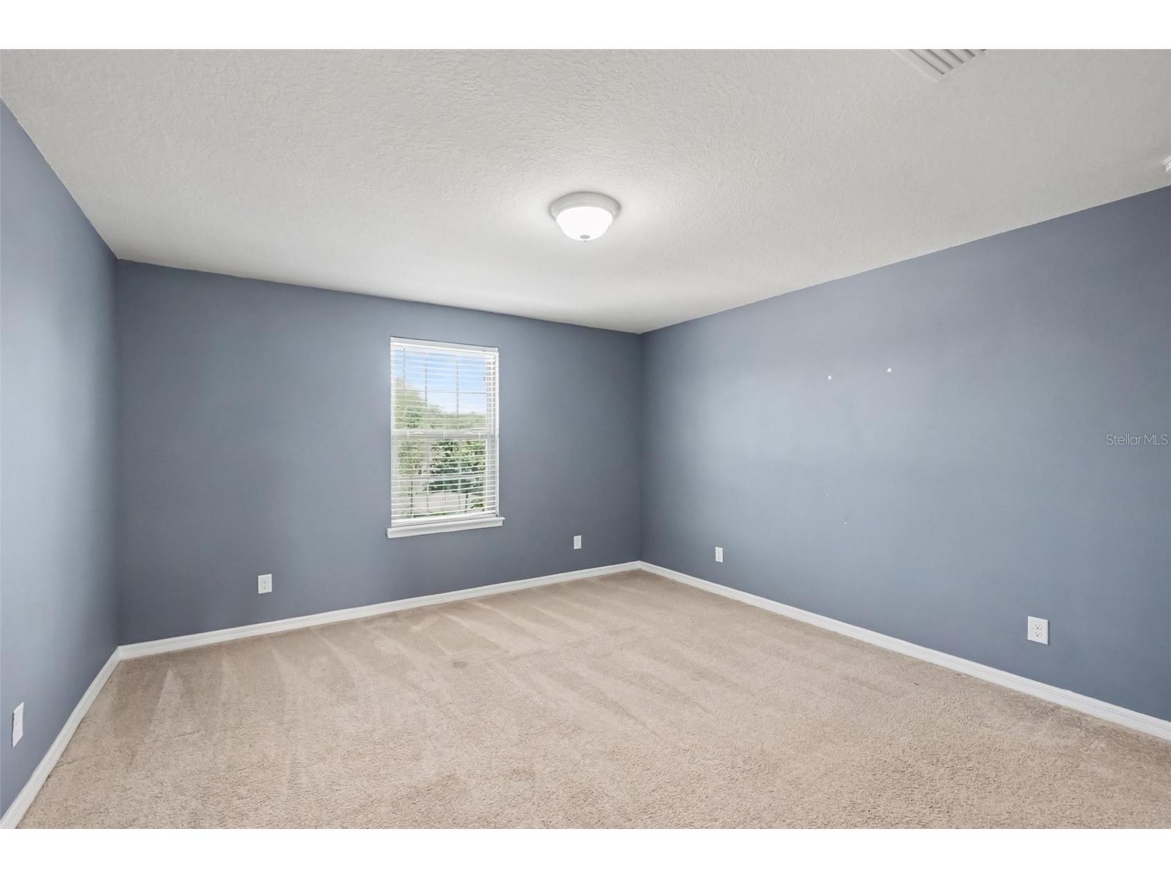 9217 European Olive Way Riverview FL 33578 O6424816 image17