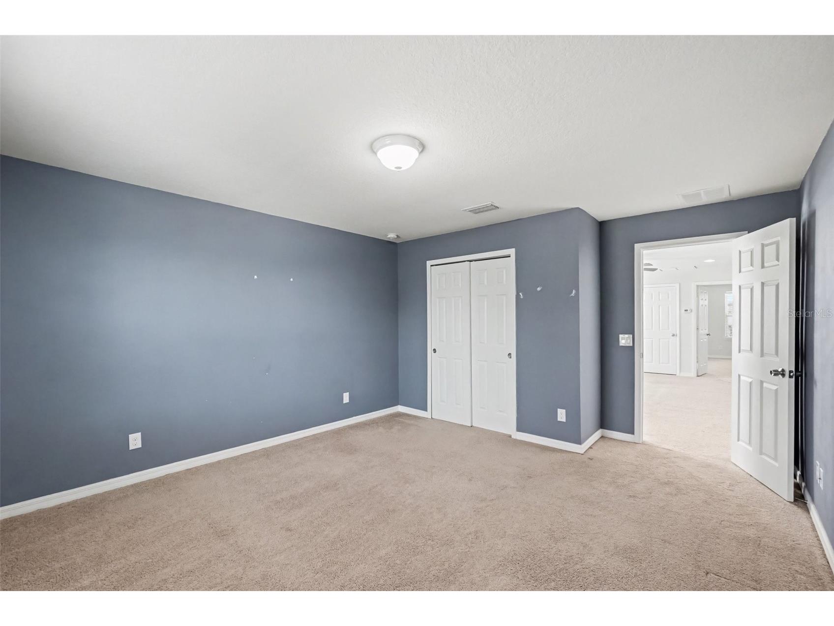 9217 European Olive Way Riverview FL 33578 O6424816 image18