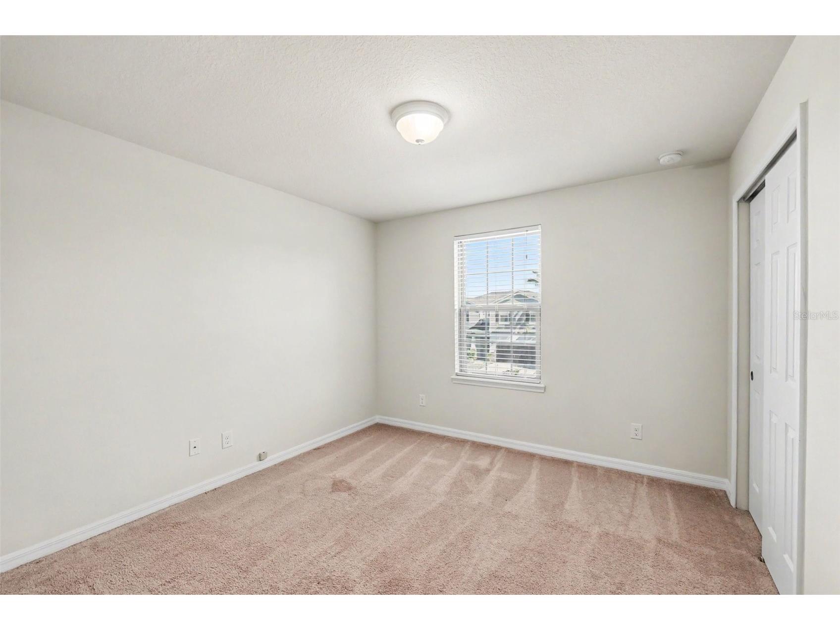 9217 European Olive Way Riverview FL 33578 O6424816 image24