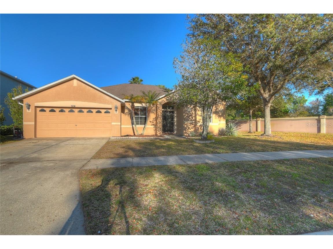 9218 Blackthorn Loop Land O Lakes FL 34638 T3507458 image1